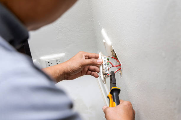 Best Electrical System Inspection  in Colusa, CA